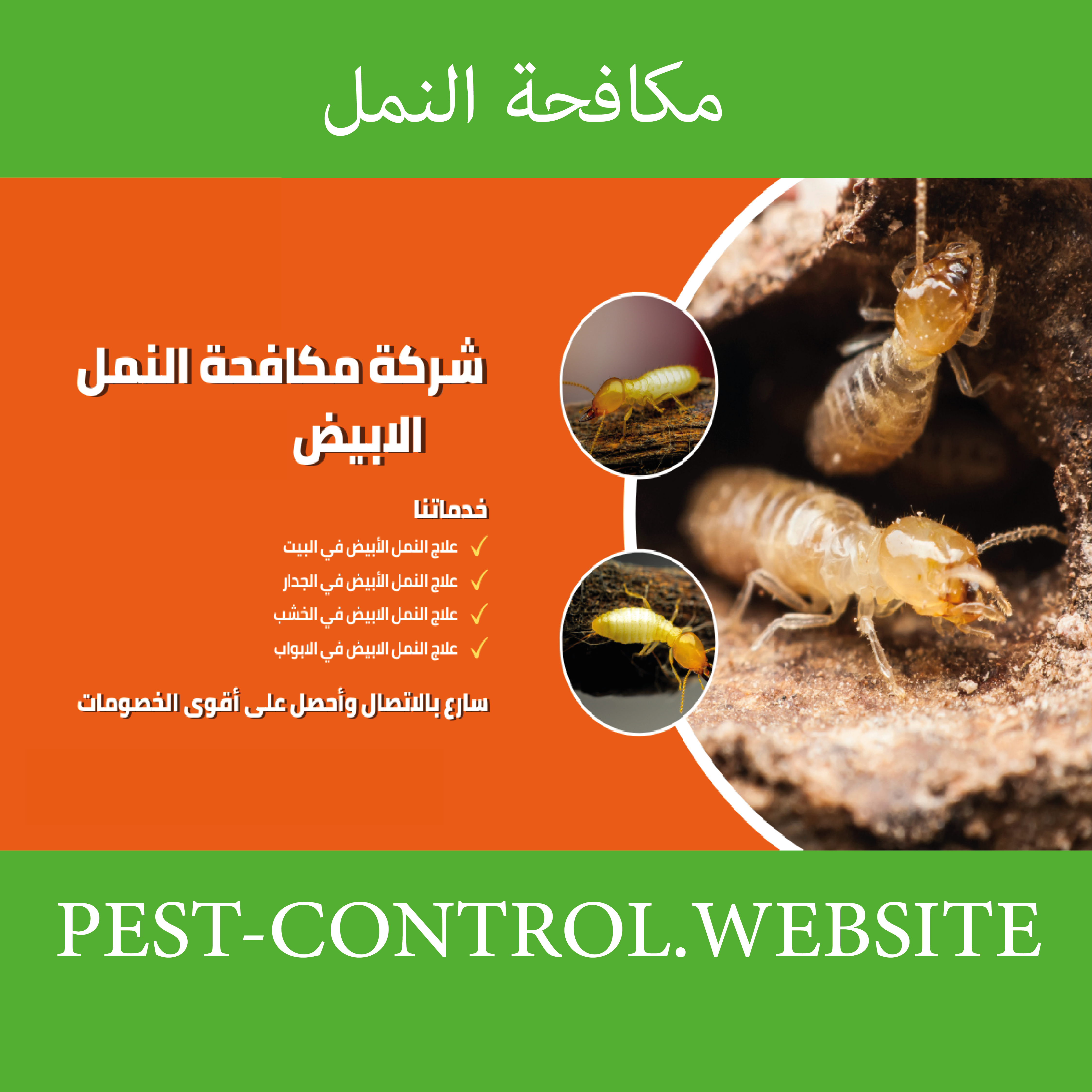 مكافحة النمل بالكويت-شركة مكافحة النمل -طريقة التخلص من النمل -شركات مكافحة النمل بالكويت